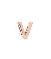 Charm Rue des Mille Carousel in Argento XR-V - XR-V